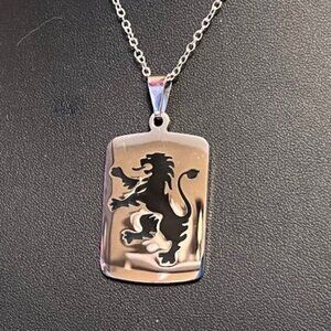 Stainless Steel DRAGON Dogtag Pendant on 22" Silvertone Chain (P49)